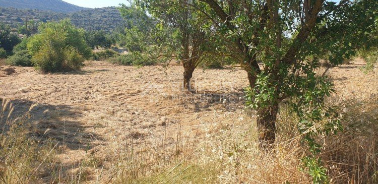 Land For Sale In Fasoula Lemesou Limassol Cyprus