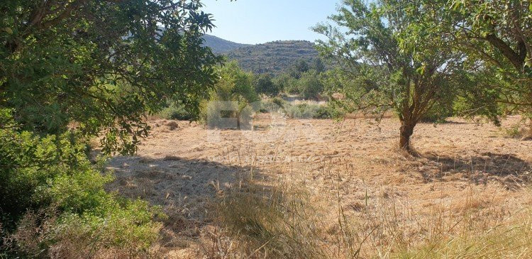 Land For Sale In Fasoula Lemesou Limassol Cyprus