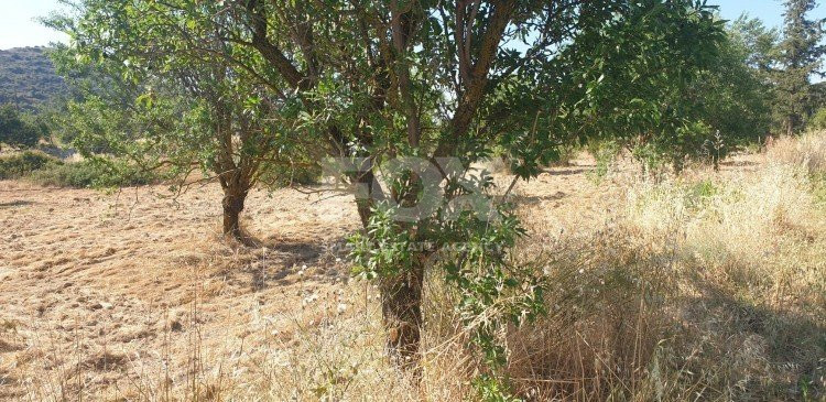 Land For Sale In Fasoula Lemesou Limassol Cyprus