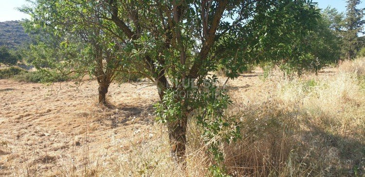 Land For Sale In Fasoula Lemesou Limassol Cyprus