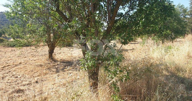 Land For Sale In Fasoula Lemesou Limassol Cyprus