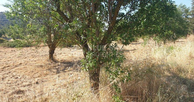 Land For Sale In Fasoula Lemesou Limassol Cyprus