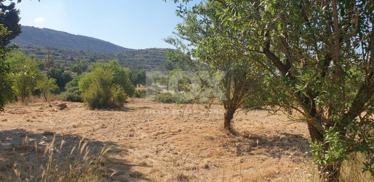 Land For Sale In Fasoula Lemesou Limassol Cyprus