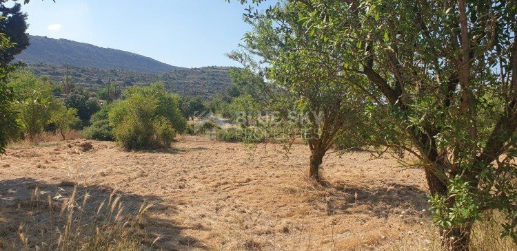 Land For Sale In Fasoula Lemesou Limassol Cyprus