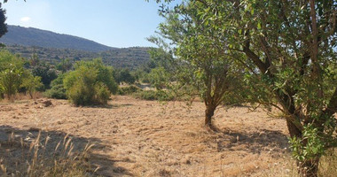 Land For Sale In Fasoula Lemesou Limassol Cyprus