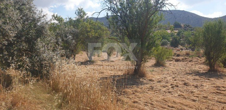 Land For Sale In Fasoula Lemesou Limassol Cyprus