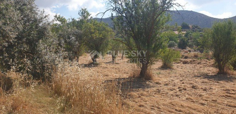 Land For Sale In Fasoula Lemesou Limassol Cyprus