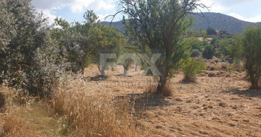 Land For Sale In Fasoula Lemesou Limassol Cyprus