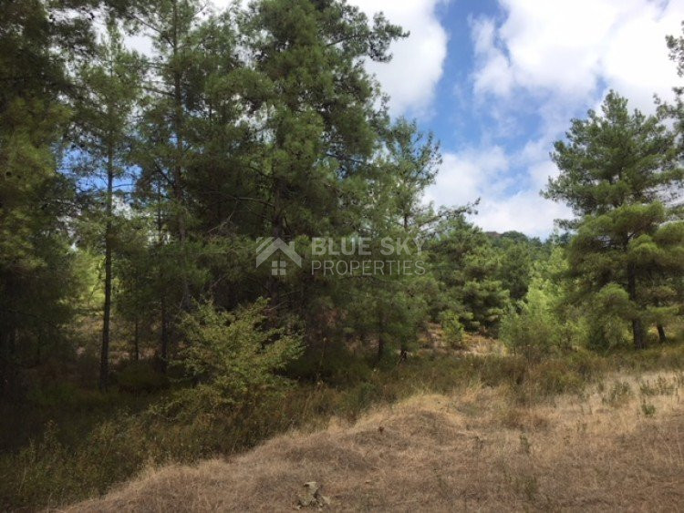 Plot For Sale In Kato Platres Limassol Cyprus