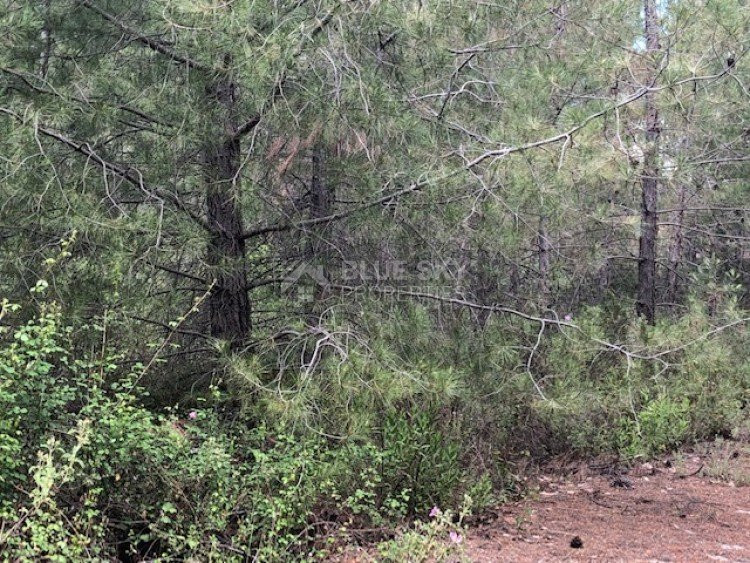 Plot For Sale In Kato Platres Limassol Cyprus