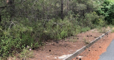 Plot For Sale In Kato Platres Limassol Cyprus