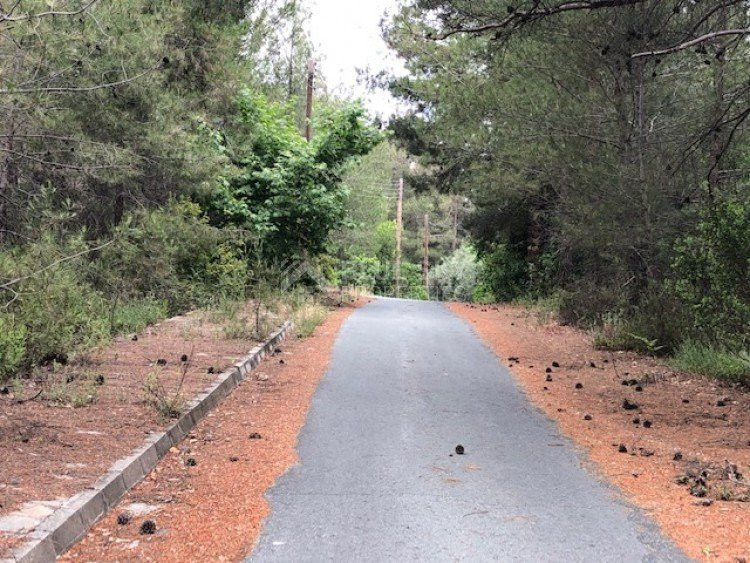 Plot For Sale In Kato Platres Limassol Cyprus