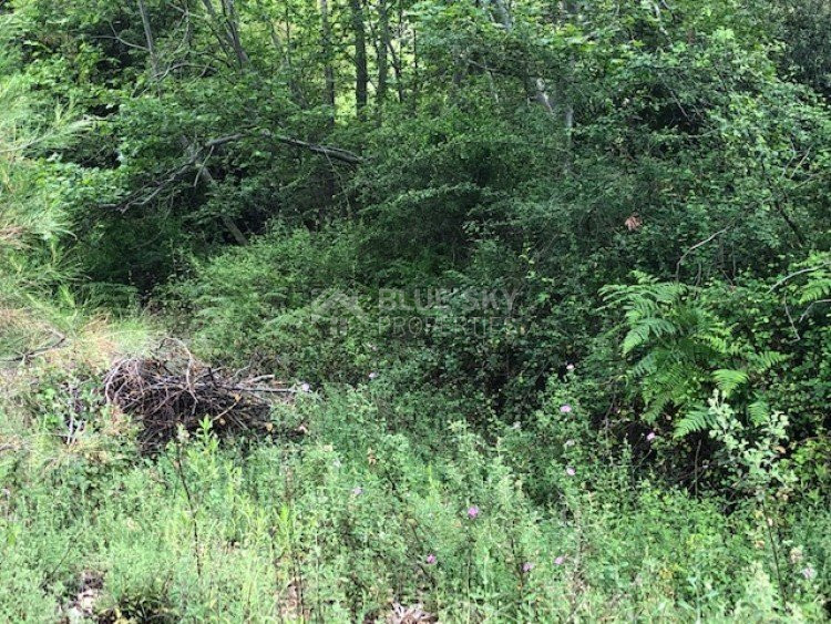 Plot For Sale In Kato Platres Limassol Cyprus