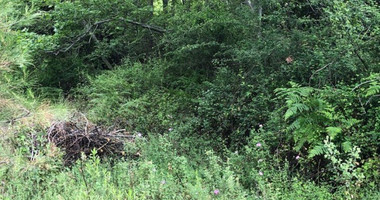 Plot For Sale In Kato Platres Limassol Cyprus