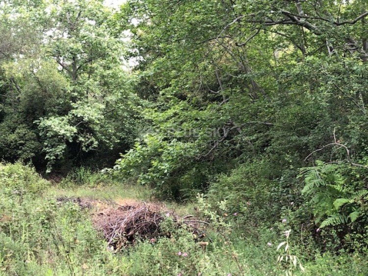 Plot For Sale In Kato Platres Limassol Cyprus