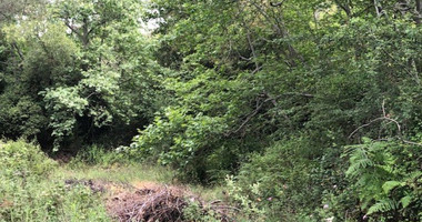 Plot For Sale In Kato Platres Limassol Cyprus