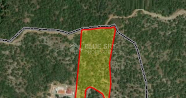 Land For Sale In Pera Pedi Limassol Cyprus