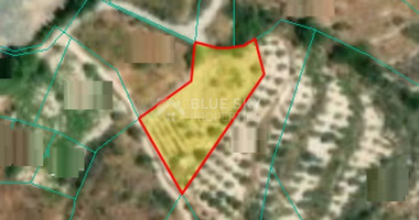 Land For Sale In Vouni Limassol Cyprus