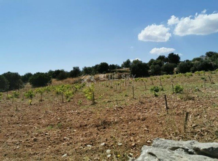 Land For Sale In Pachna Limassol Cyprus
