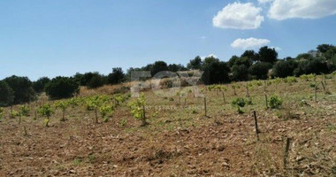 Land For Sale In Pachna Limassol Cyprus