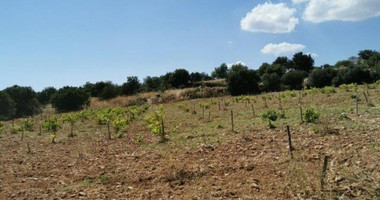 Land For Sale In Pachna Limassol Cyprus