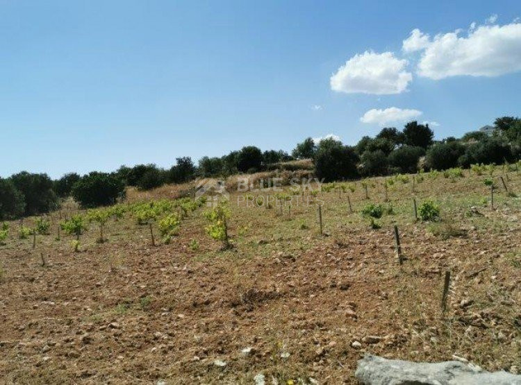 Land For Sale In Pachna Limassol Cyprus