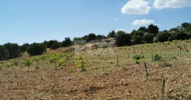 Land For Sale In Pachna Limassol Cyprus