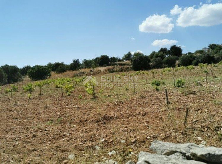 Land For Sale In Pachna Limassol Cyprus