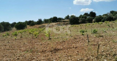 Land For Sale In Pachna Limassol Cyprus