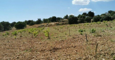 Land For Sale In Pachna Limassol Cyprus