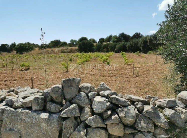 Land For Sale In Pachna Limassol Cyprus