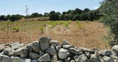 Land For Sale In Pachna Limassol Cyprus