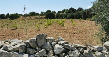 Land For Sale In Pachna Limassol Cyprus
