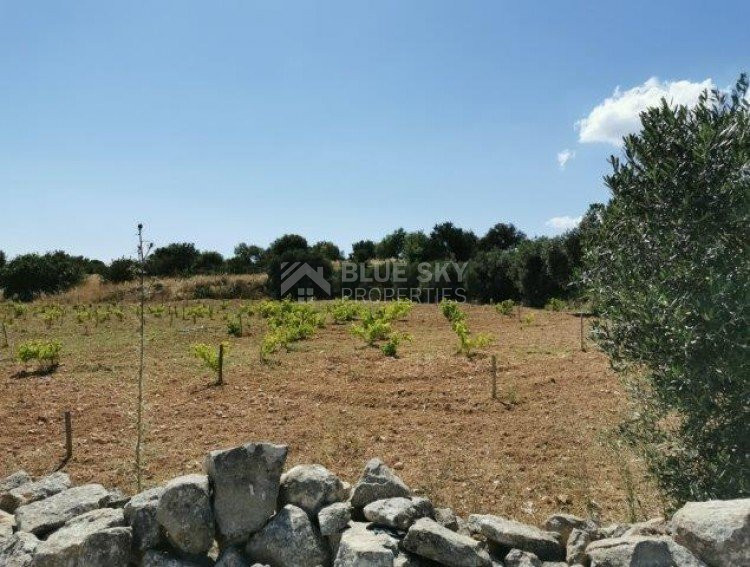 Land For Sale In Pachna Limassol Cyprus