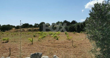 Land For Sale In Pachna Limassol Cyprus