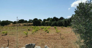 Land For Sale In Pachna Limassol Cyprus