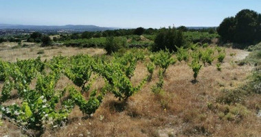 Land For Sale In Pachna Limassol Cyprus