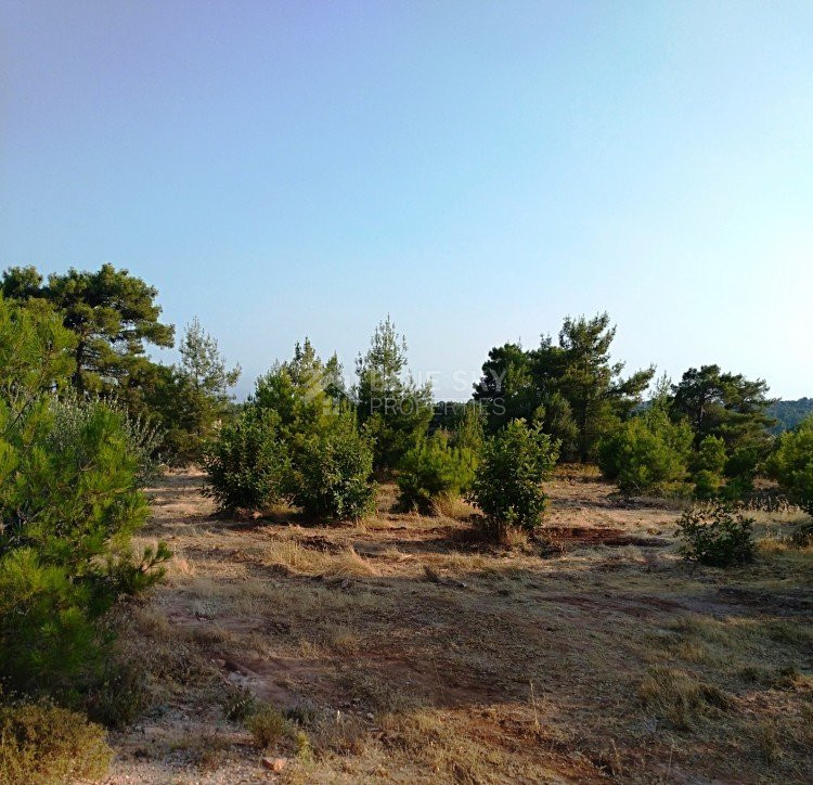 Land For Sale In Souni Zanakia Limassol Cyprus