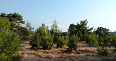 Land For Sale In Souni Zanakia Limassol Cyprus
