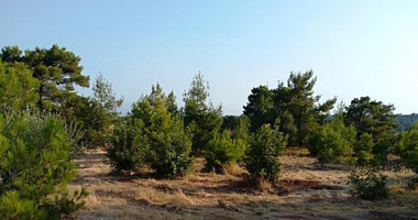 Land For Sale In Souni Zanakia Limassol Cyprus