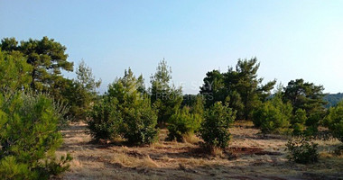 Land For Sale In Souni Zanakia Limassol Cyprus