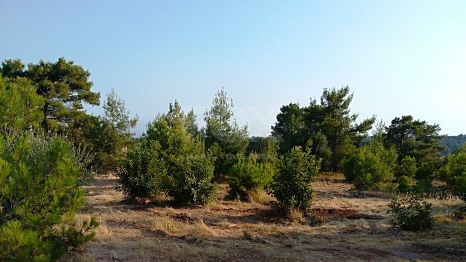 Land For Sale In Souni Zanakia Limassol Cyprus