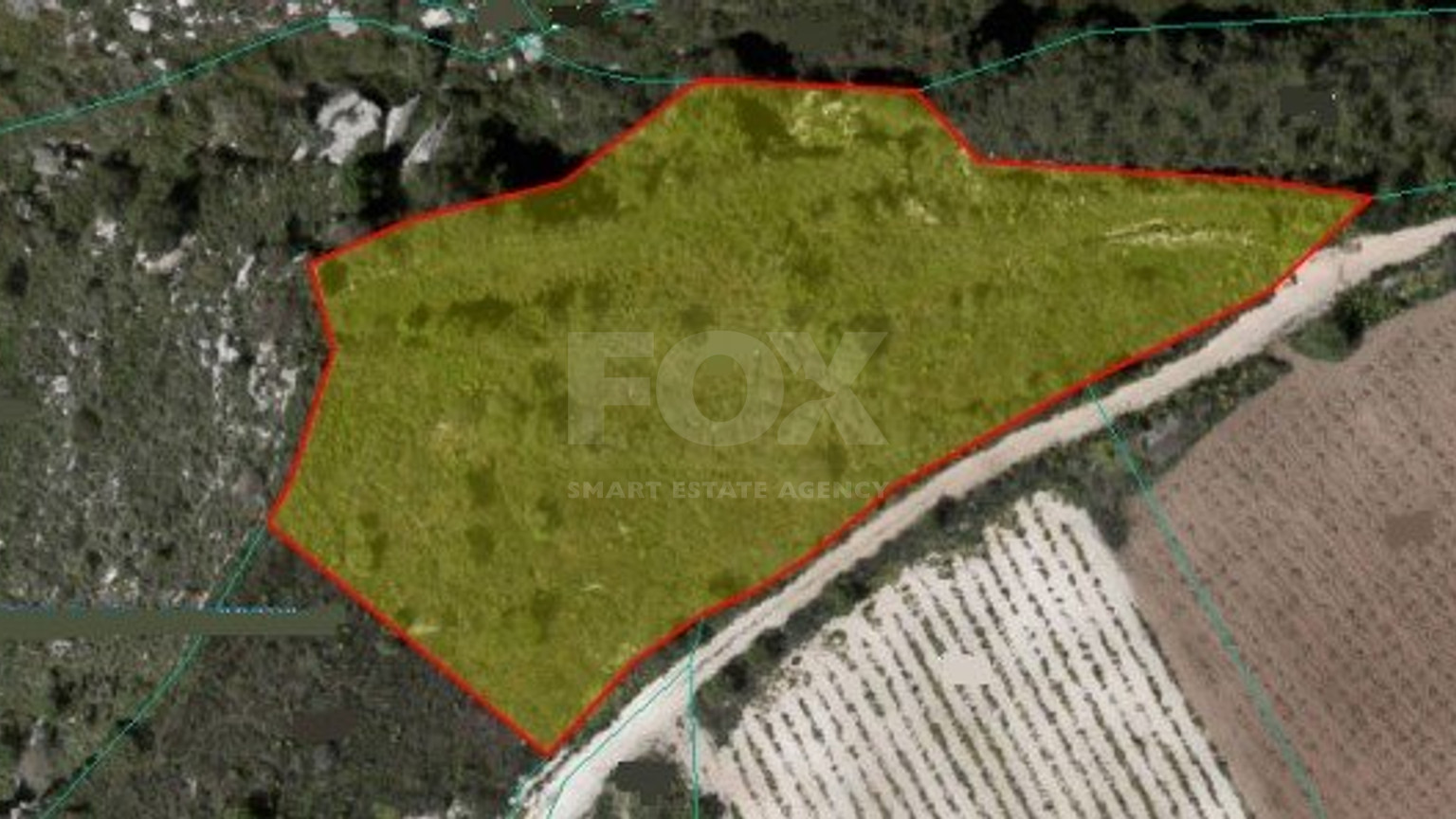 Land in Kathikas Paphos Cyprus