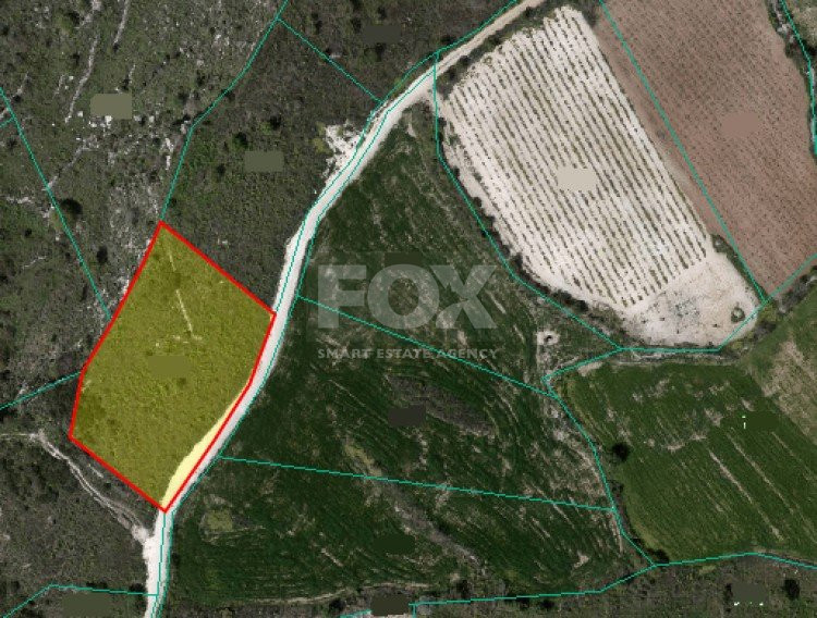 Land in Kathikas Paphos Cyprus