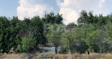 Land For Sale In Paramytha Limassol Cyprus