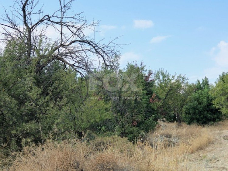 Land For Sale In Paramytha Limassol Cyprus