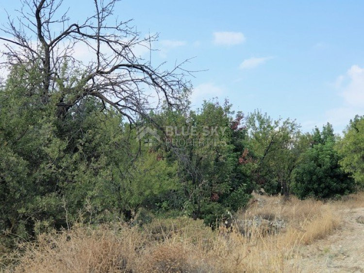 Land For Sale In Paramytha Limassol Cyprus