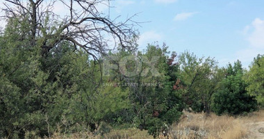 Land For Sale In Paramytha Limassol Cyprus