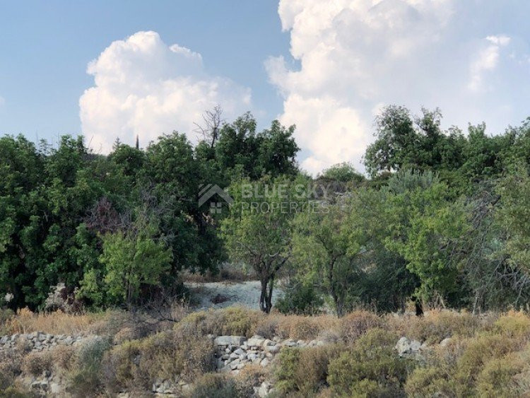 Land For Sale In Paramytha Limassol Cyprus