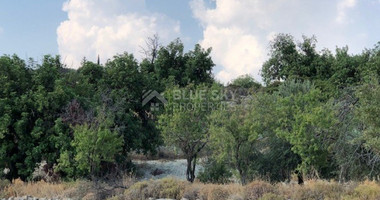 Land For Sale In Paramytha Limassol Cyprus